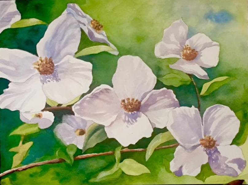 808x602 Watercolor Dreams Darlene Meader Riggs