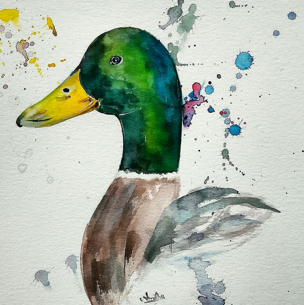 Watercolor Duck at GetDrawings | Free download