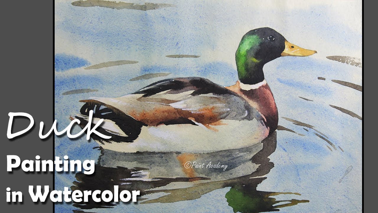 1280x720 How To Paint Duck In Water In Watercolor