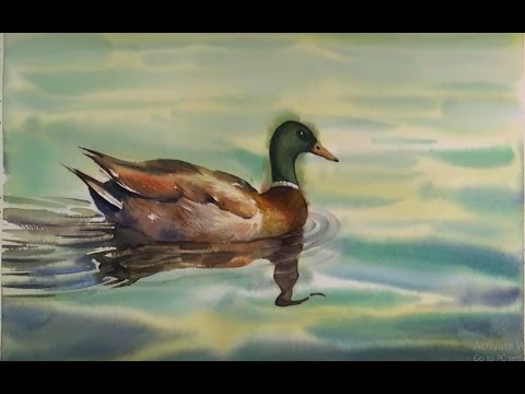 480x360 How To Paint Duck In Watercolor
