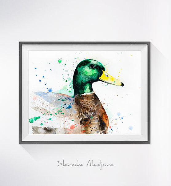 556x604 Mallard Duck Watercolor Painting Print,