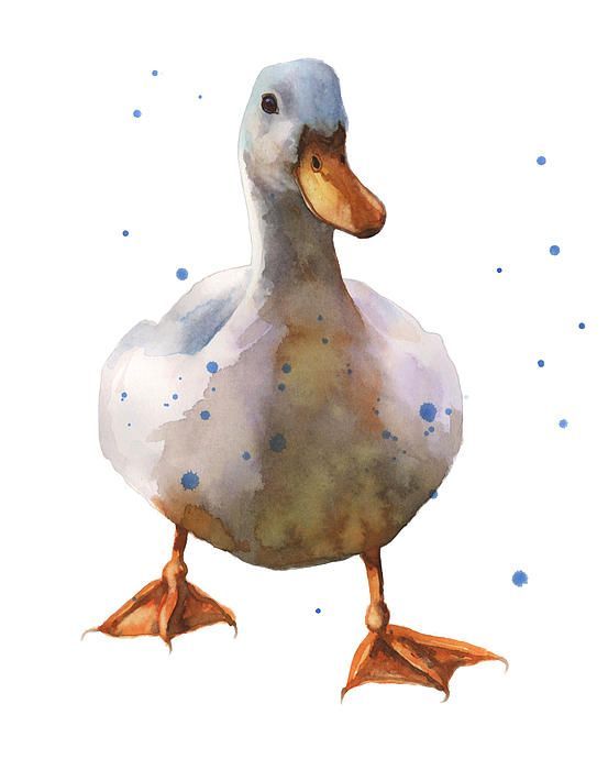 553x700 Znalezione Obrazy Dla Zapytania Watercolor Duck Just Cute In