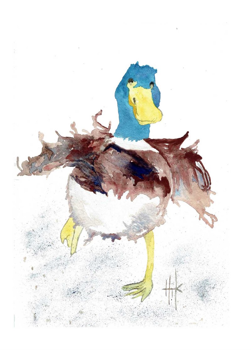 800x1117 Duck