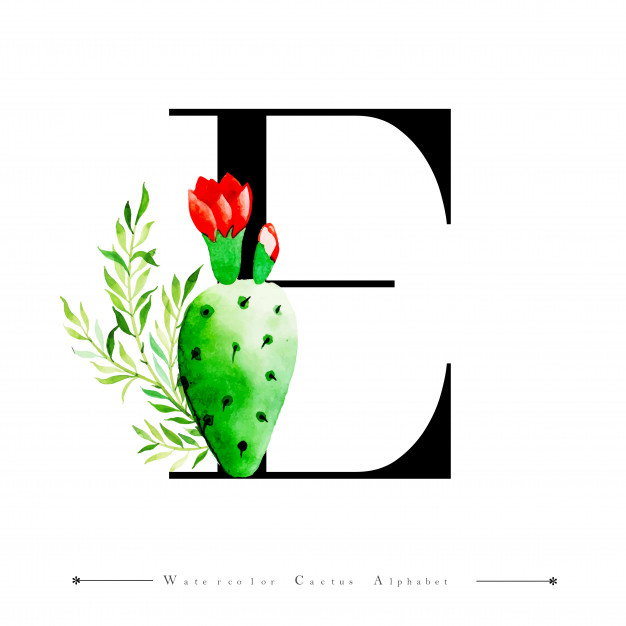 626x626 Alphabet Letter E With Watercolor Cactus Vector Premium Download