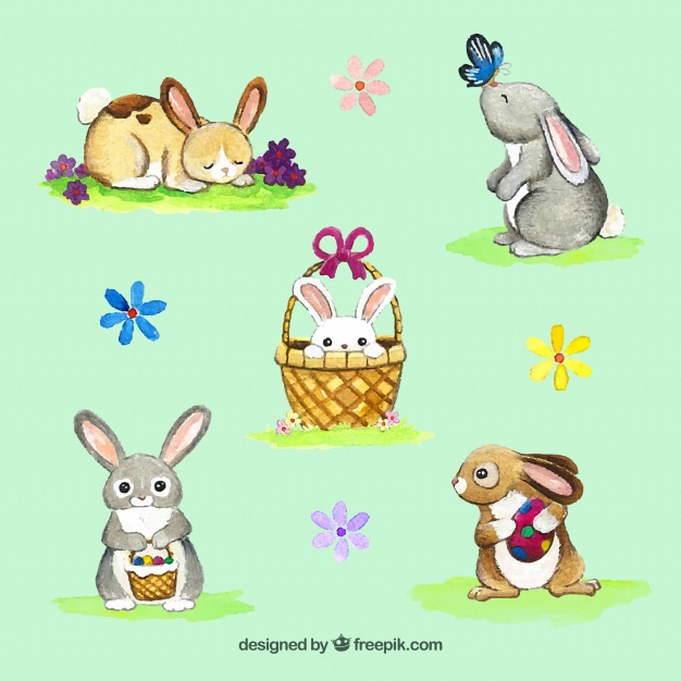 626x626 Set Of Watercolor Bunnies And Flowers Vector Free Download