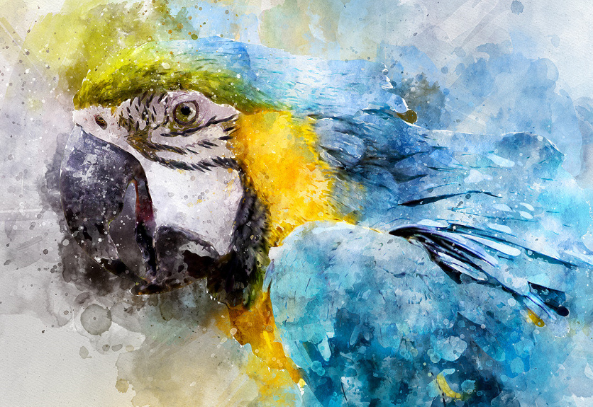 836x575 19 Artistic Watercolor Amp Sketch Painting Effect Photoshop Actions