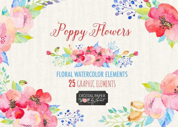 570x407 Poppy Flower Floral Watercolor Elements Png File Etsy