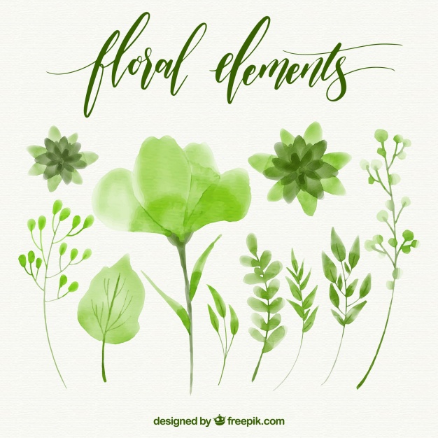 626x626 Set Of Floral Green Watercolor Elements Vector Free Download