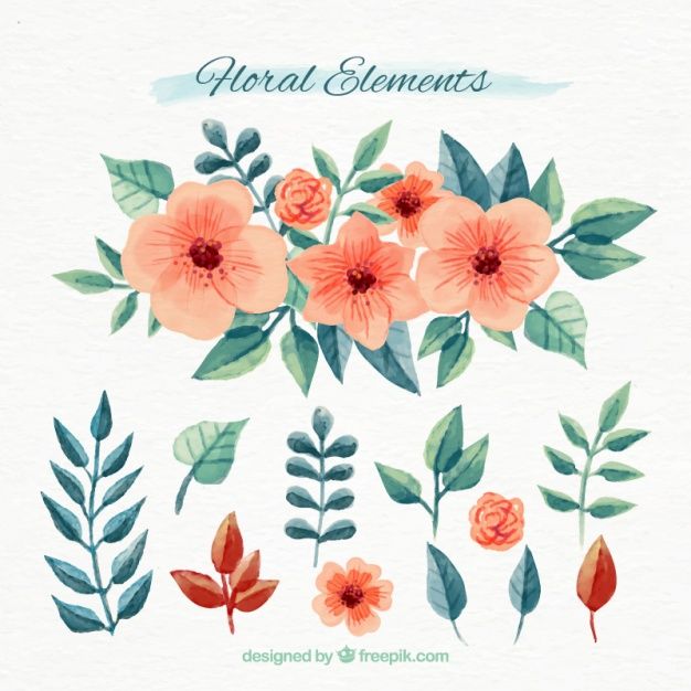 626x626 Set Of Floral Watercolor Elements Free Vector Lettering