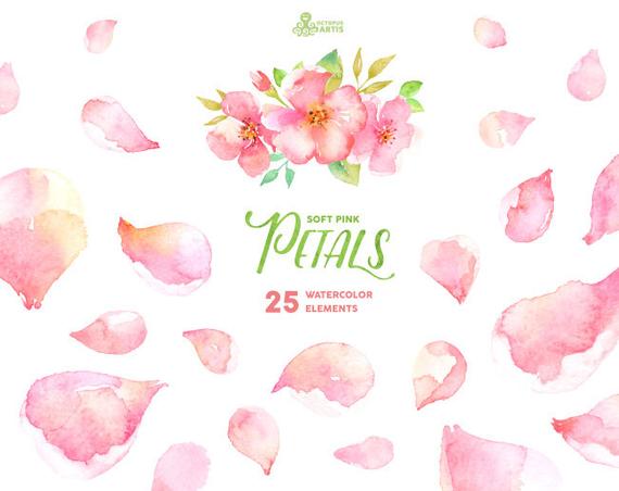570x452 Soft Pink Petals 25 Watercolor Elements Bouquet Flowers. Etsy