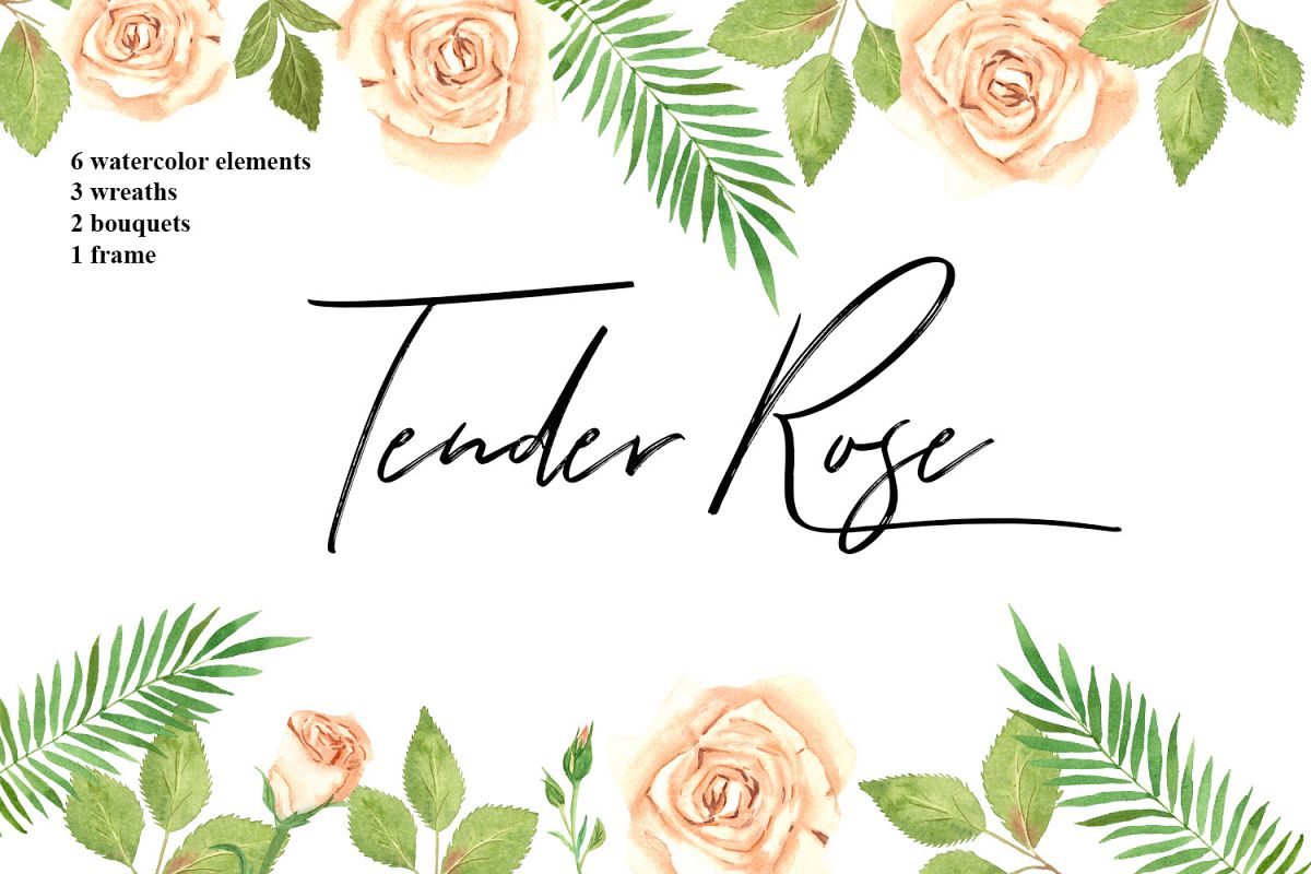 1200x800 Tender Rose Watercolor Elements