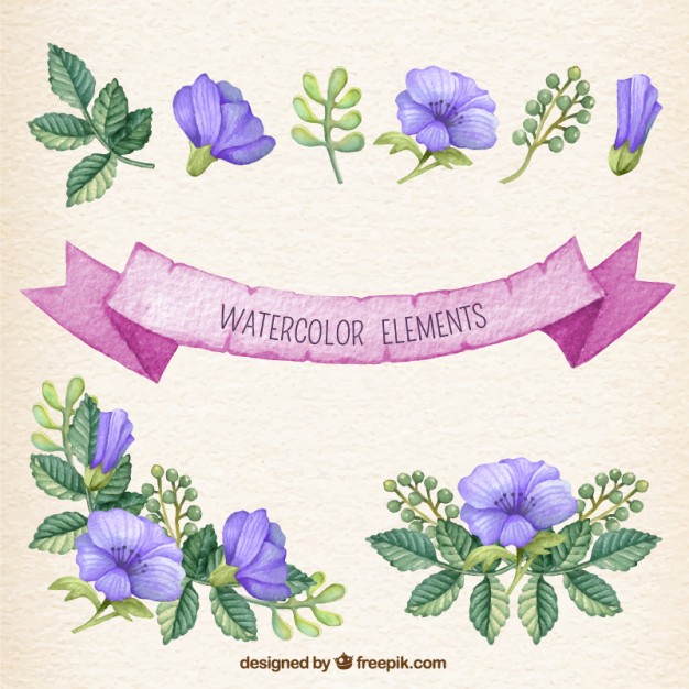 626x626 Watercolor Elements Vector Premium Download