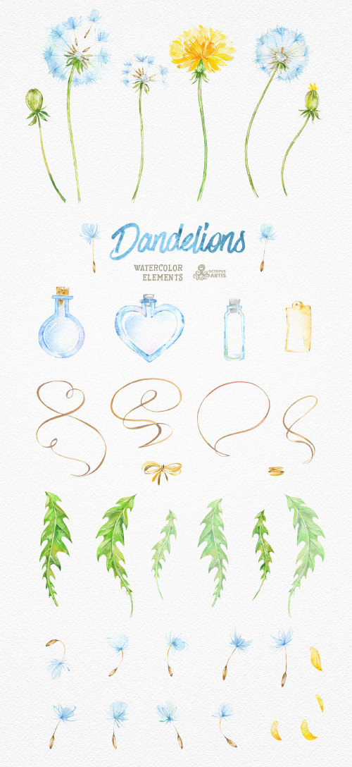 500x1088 Dandelions 37 Watercolor Elements. Clipart, Blowballs, Floral