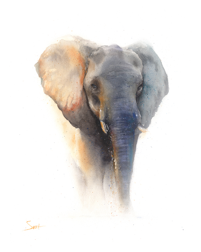 650x813 Elephant Watercolor Print 3 Watercolor Animal Paintings