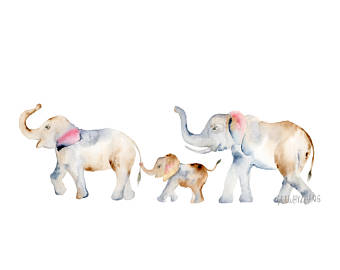 340x270 Elephant Watercolor Etsy