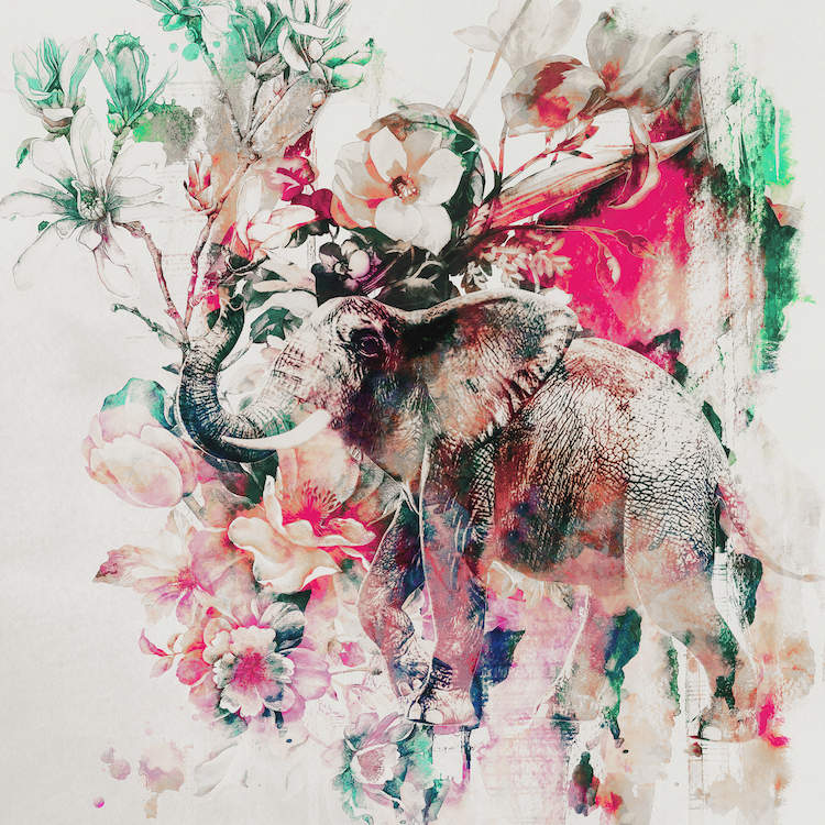 750x750 Watercolor Elephant And Flowers Canvas Wall Art By Riza Peker