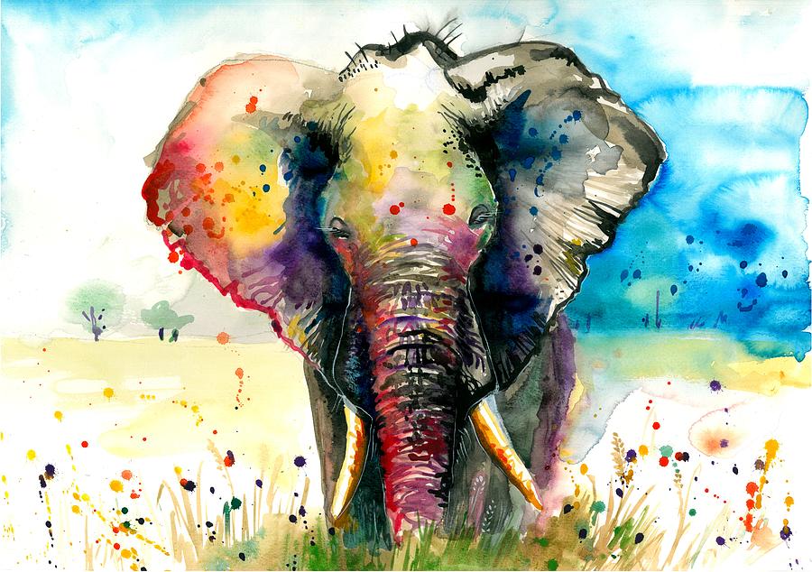 900x634 The Rainbow Elephant