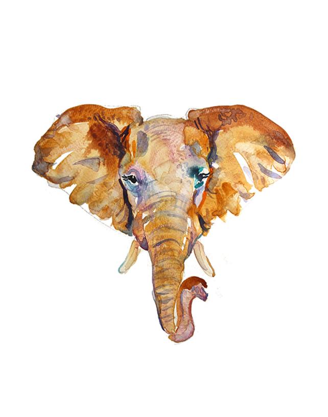 642x817 Elephant Head Watercolor Animal Size 11 X 14 In Etsy