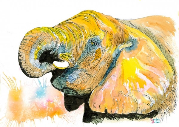 600x425 Elephant Head Original Watercolor Painting By Gerdus Bronn