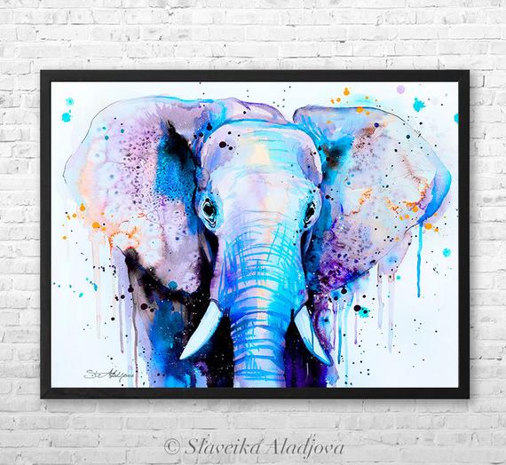 570x524 Blue Elephant Head Watercolor Framed Canvas By Slaveika Etsy