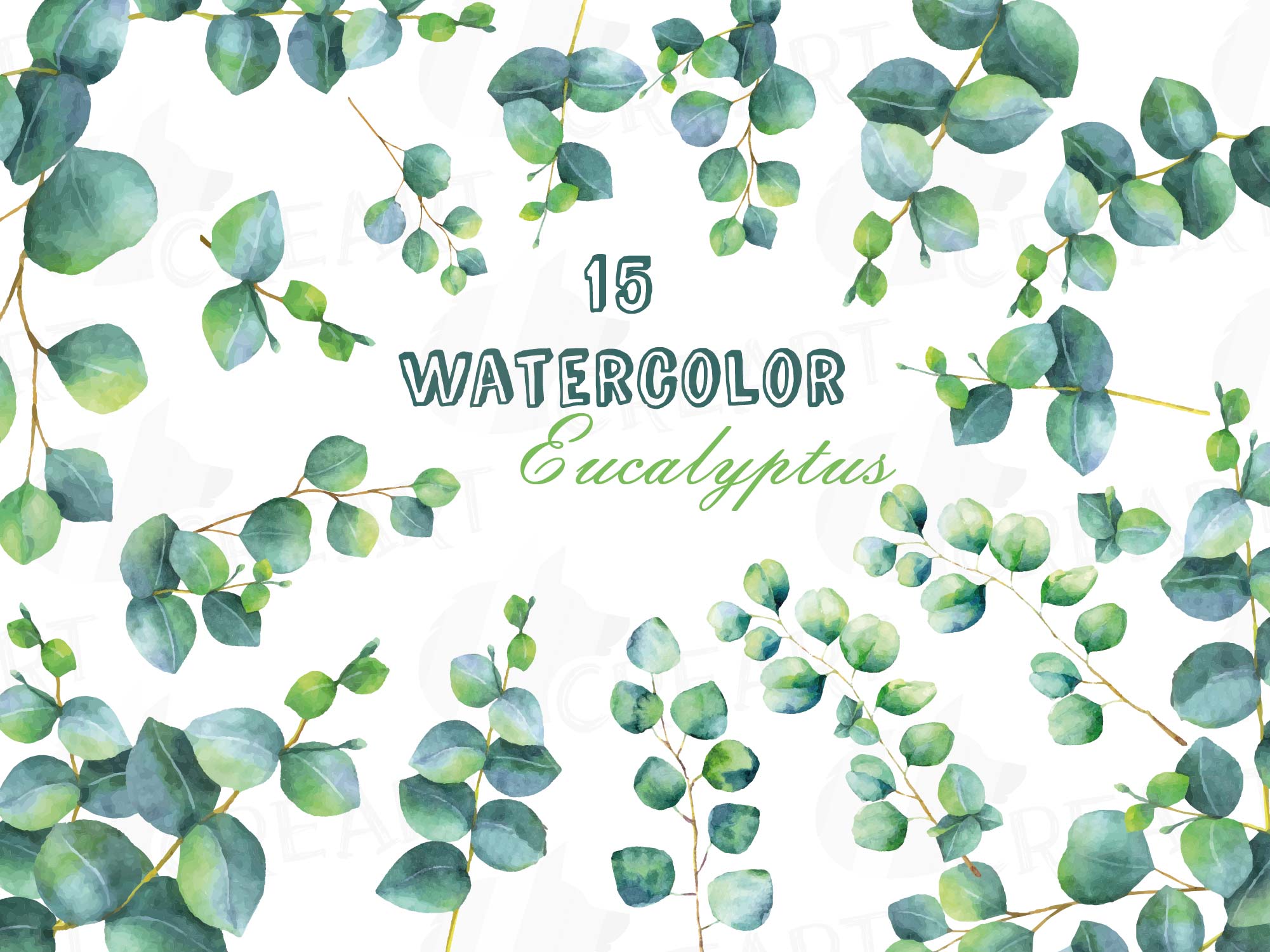 2001x1500 Eucalyptus Leaves And Branches Watercolor Clip Art Pack