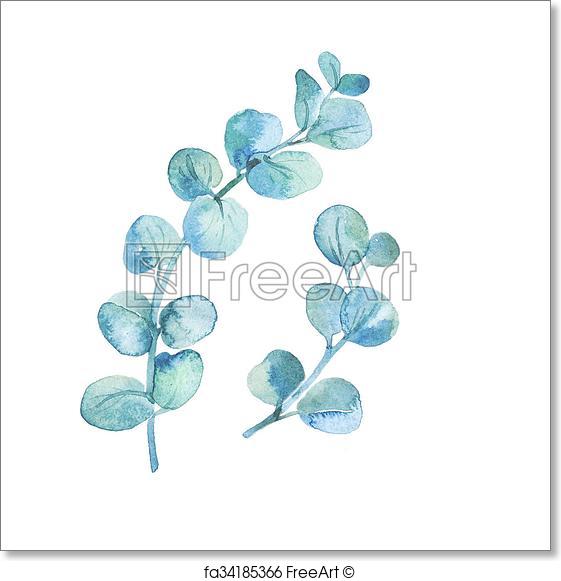 561x581 Free Art Print Of Watercolor Eucalyptus Leaves And Branches