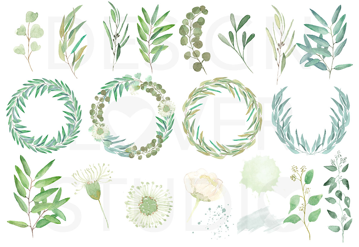 1200x825 Watercolor Eucalyptus Leaves By Designloverstudio