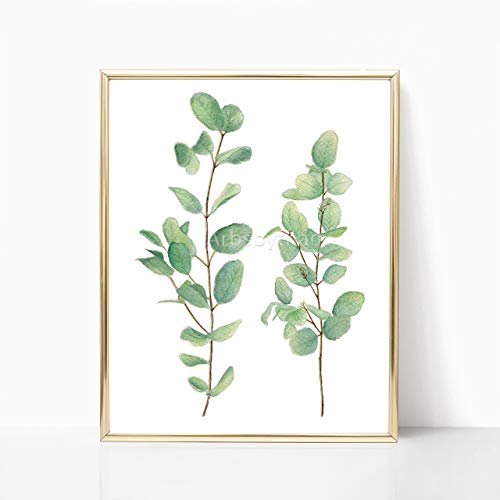 500x500 Silver Dollar Eucalyptus Leaves Print 8x10 Or 11x14