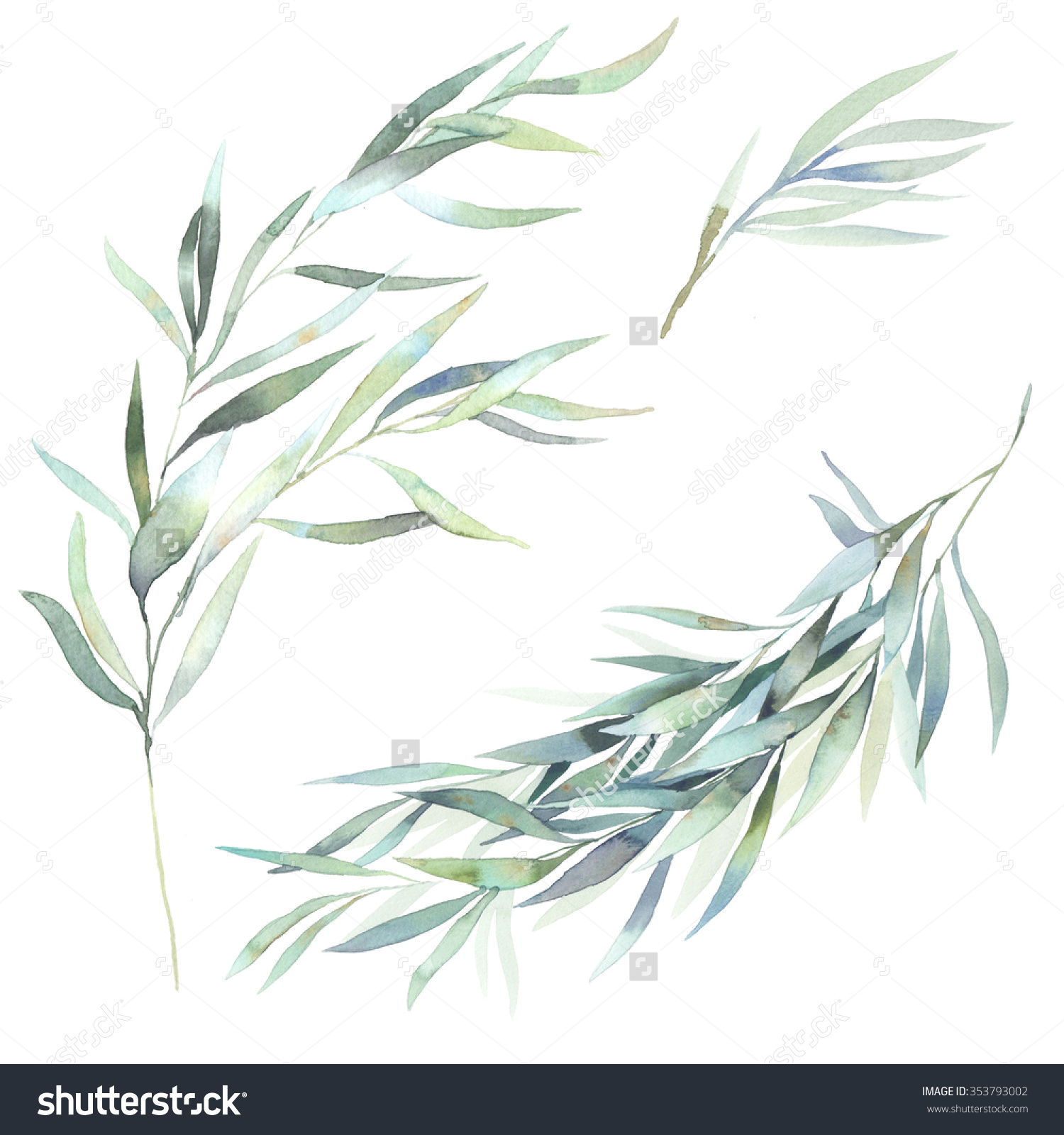 1500x1600 Branch Clipart Watercolor