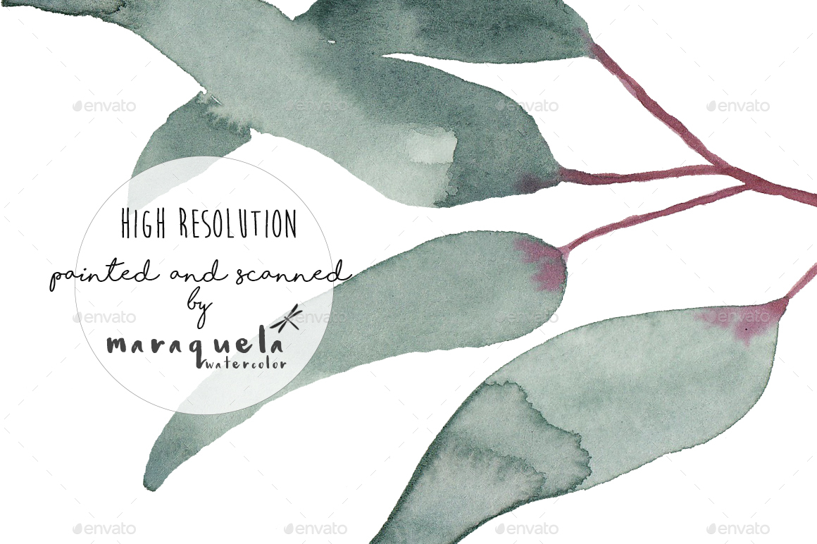 1160x772 Elegant Watercolor Eucalyptus Leaves Clip Art Hand Made By