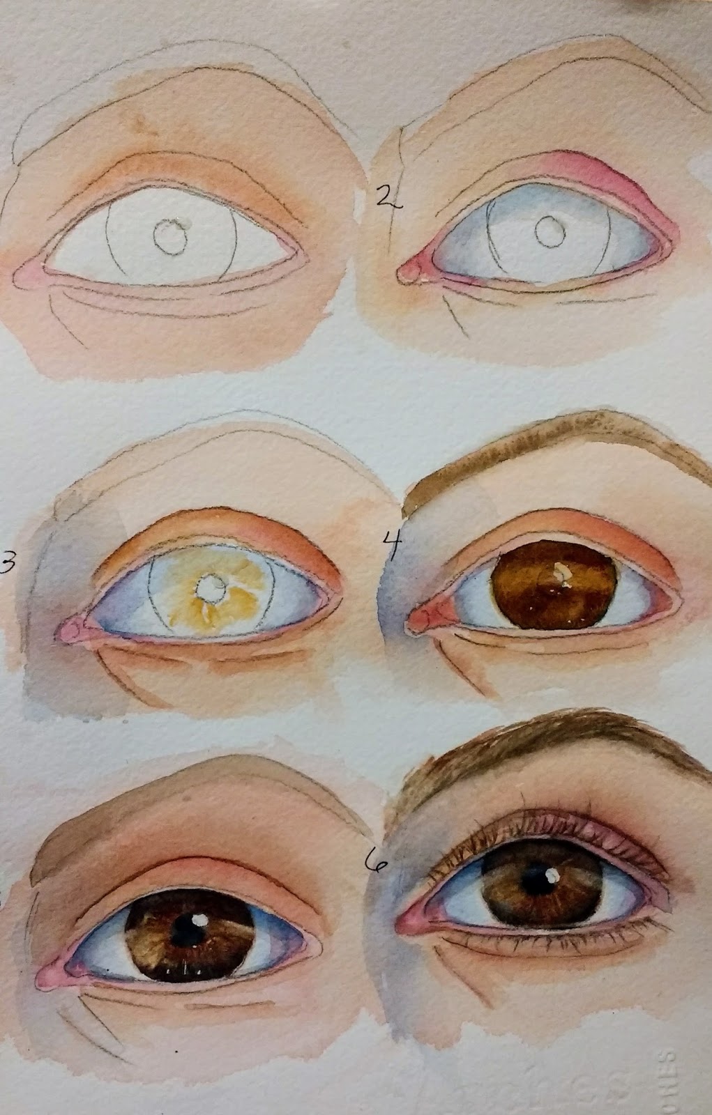 1021x1600 Chris Campbell Watercolors Painting Eyes