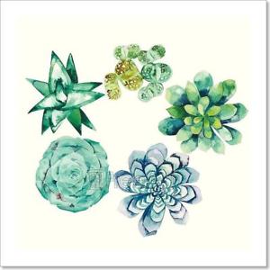 300x300 Watercolor Succulent Collection Art Print Home Decor Wall Art