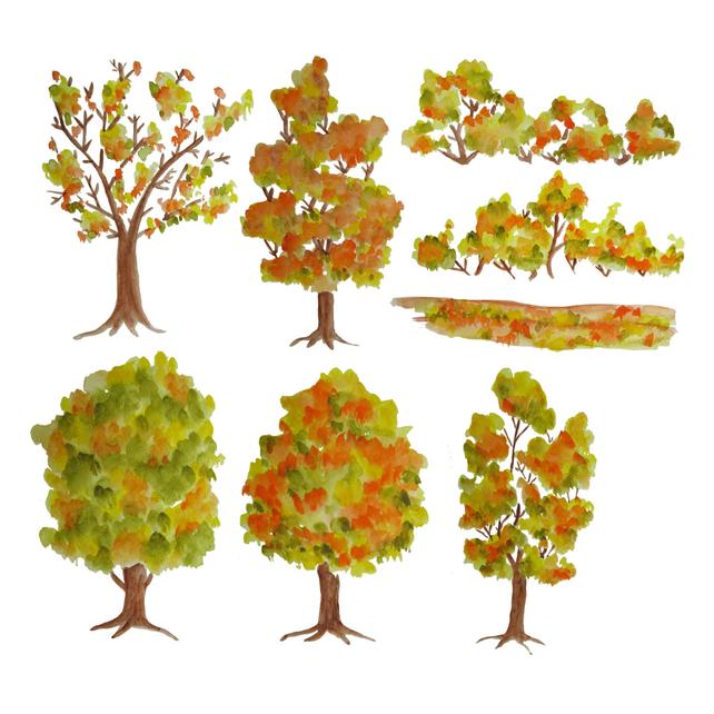 642x642 Watercolor Tree Clipart Autumn Trees Clipart Wood Clipart Etsy