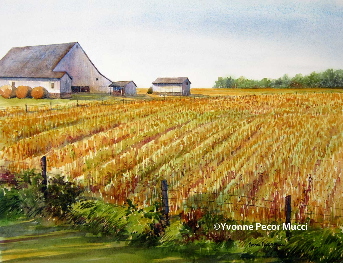 1440x1105 Grain Fields Watercolor Yvonne Pecor Mucci