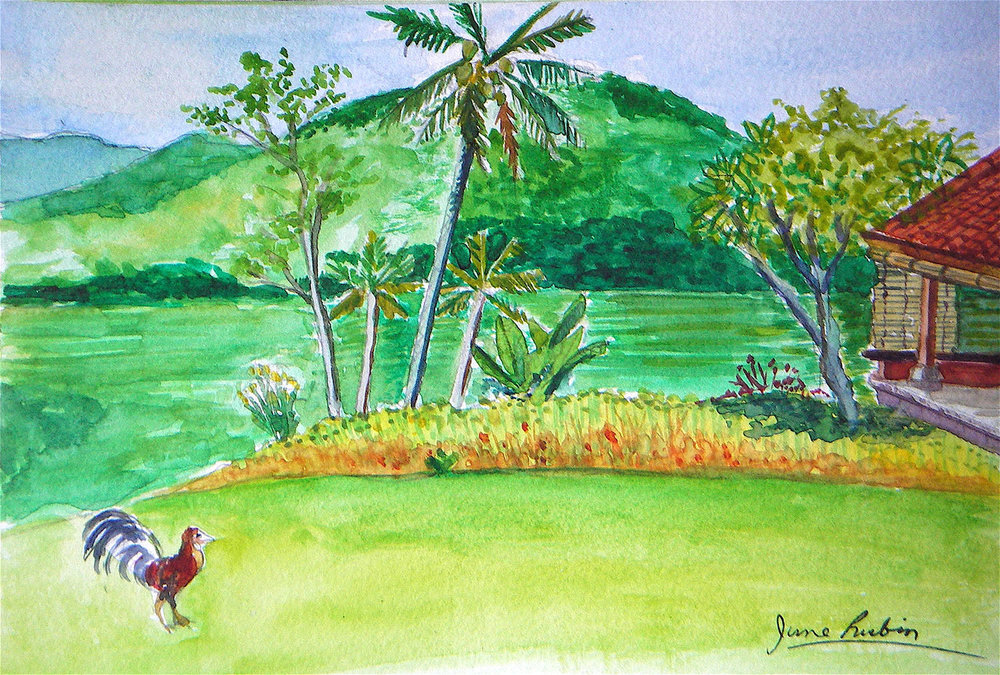1000x675 Bali Farm, Watercolor June Rubin, Artist