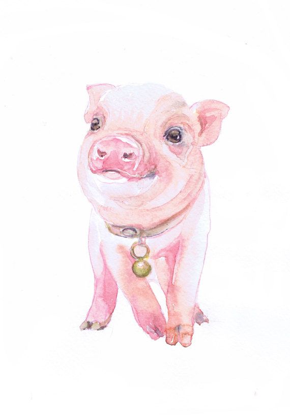570x816 Baby Pig Art Farm Animals Watercolor Painting Nursery Decor Boy