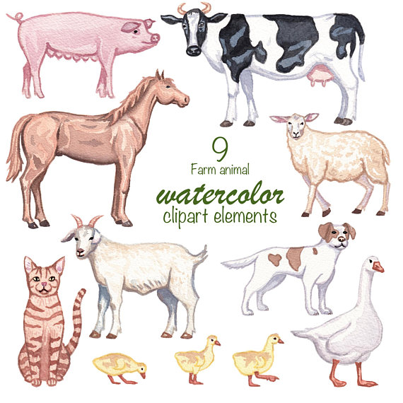 570x570 Watercolor Clipart, Farm Animals, Clipart Set, Watercolor