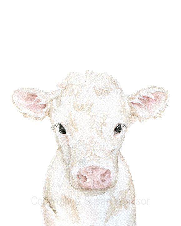 580x725 White Calf Watercolor Cow