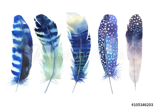500x349 Hand Drawn Watercolor Feather Set. Boho Style. Watercolour