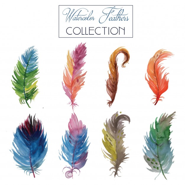 626x626 Watercolor Feather Collection Vector Free Download