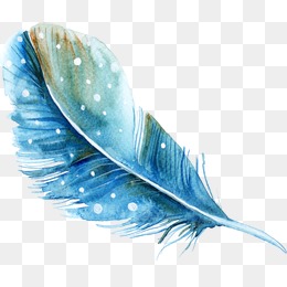 260x260 Watercolor Feather Png Images Vectors And Psd Files Free