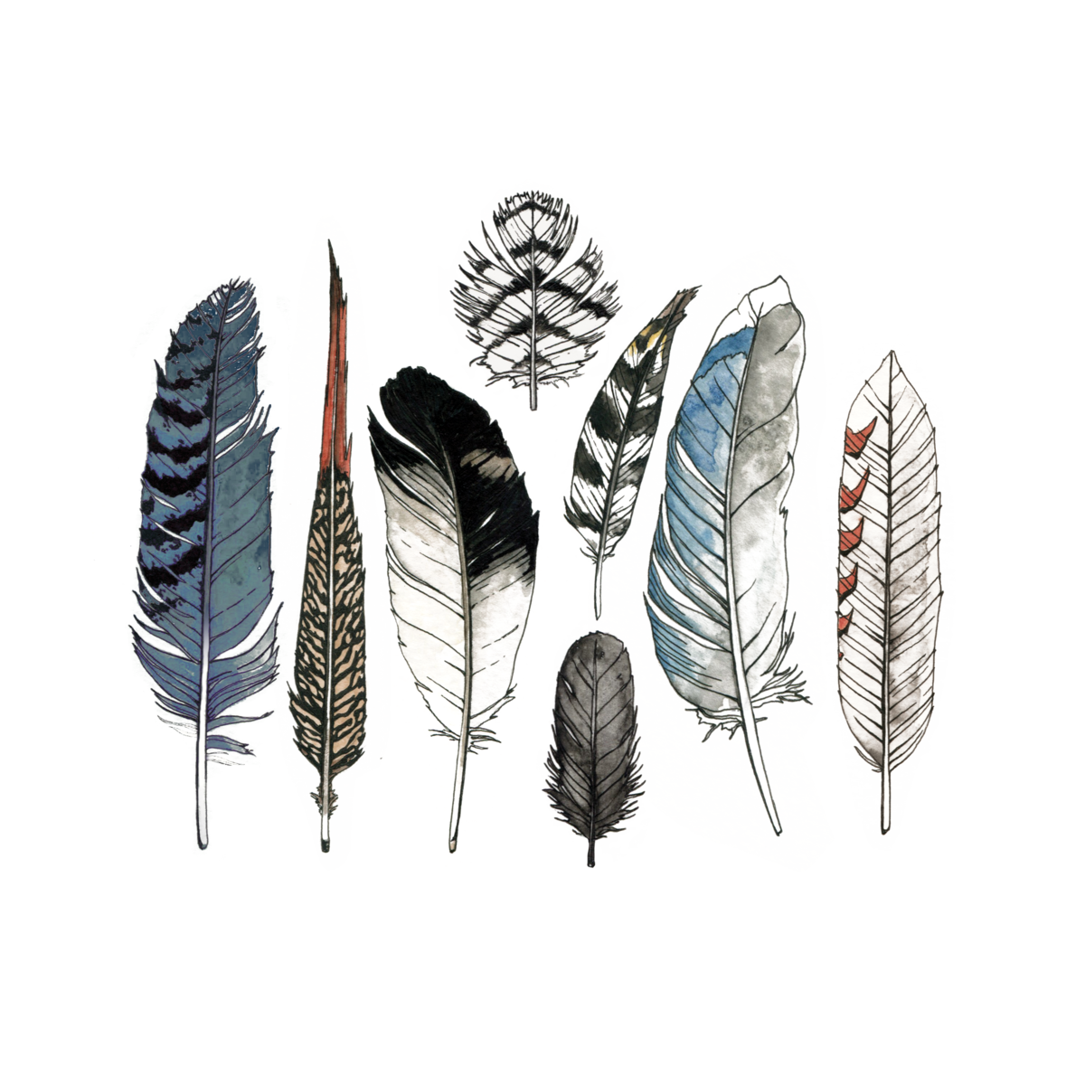 1200x1200 Watercolor Feather Set By Natasha Lawyer From Tattly Temporary Tattoos