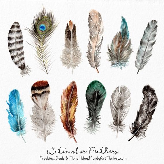 570x570 Watercolor Feathers Clipart Watercolour Feathers Hand Etsy