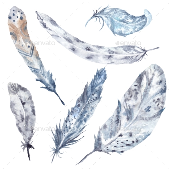 590x590 Grey Watercolor Feather Set By Kisika Graphicriver