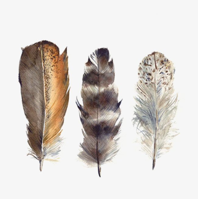 650x651 Hand Painted Watercolor Feather, Watercolor Clipart, Hand Painted