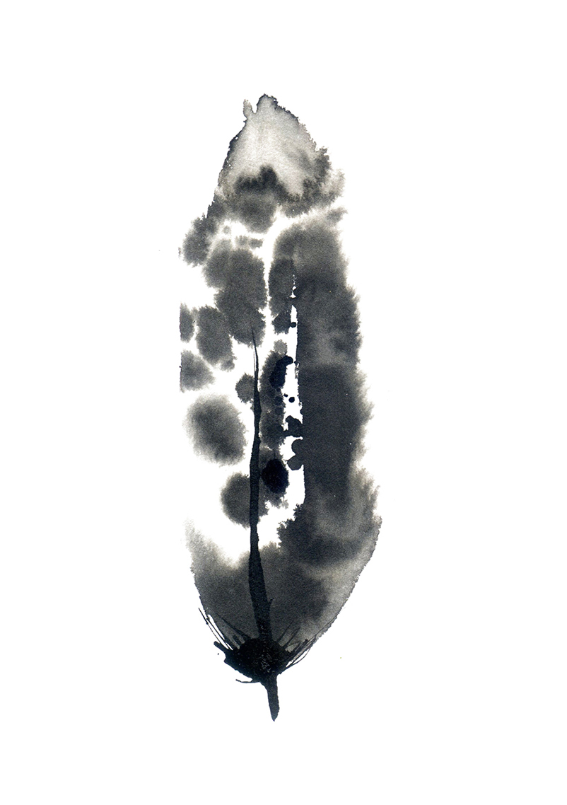 802x1138 Inky Feather Print 1