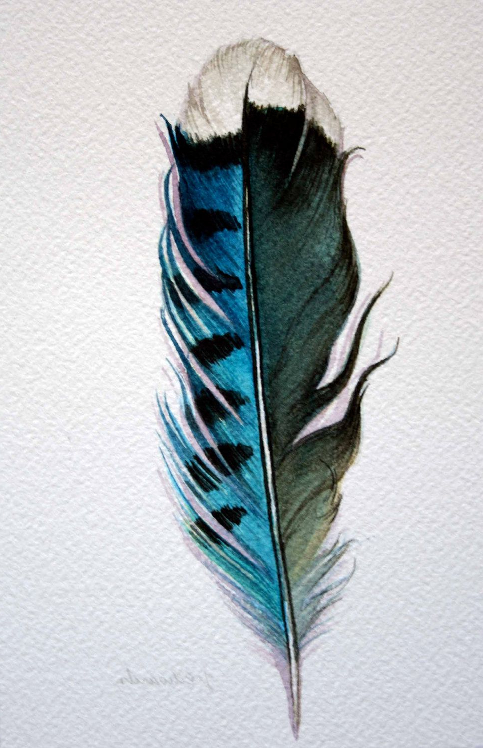 968x1500 Painting Feathers In Watercolor Original Watercolor