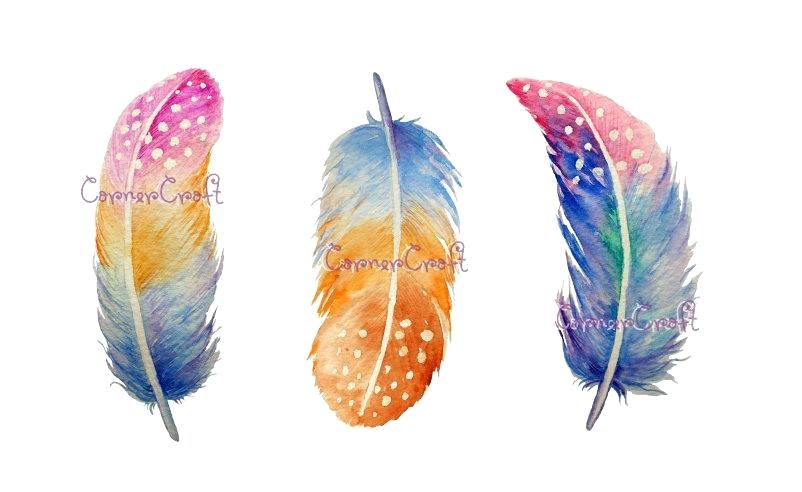 802x492 Watercolor Feathers Spotted Feather Illustration Tutorial Hervoice