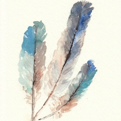 250x250 Watercolor Feathers Crafthubs