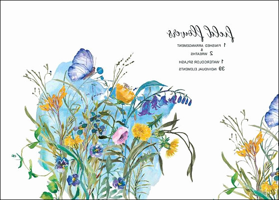 570x410 Flower Bouquet Clipart Inspirational Watercolor Field Flowers